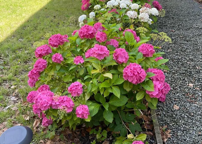 Faaborg Vandrerhjem * Faaborg